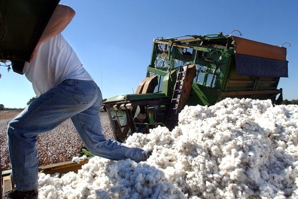 Modern Cotton Production in Alabama - Encyclopedia of Alabama