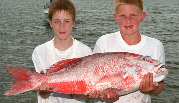 Red Snapper at Fishing Rodeo