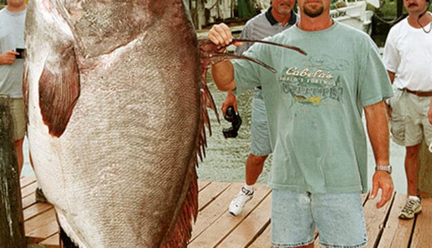 Giant Grouper at Fishing Rodeo