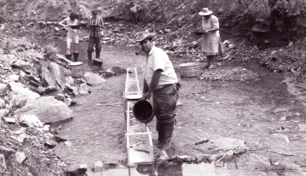Gold Panning in Chilton County