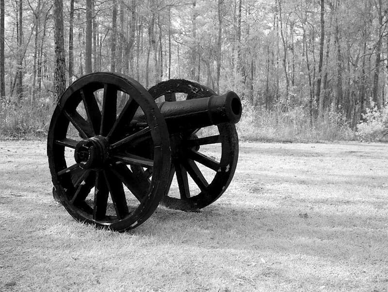 Cannon at Blakeley State Park