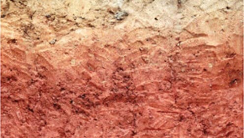 The Bama Soil Series