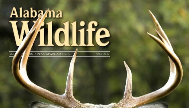 Alabama Wildlife Magazine