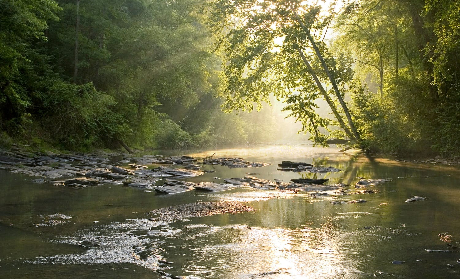 River Basins - New Georgia Encyclopedia