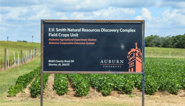 E. V. Smith Research Center Field