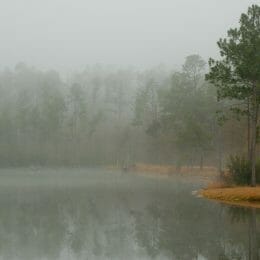 State Forests of Alabama