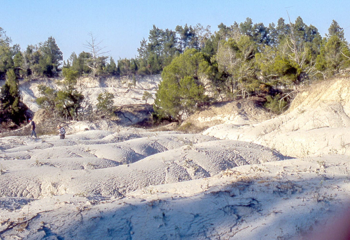 Cretaceous Period in Alabama - Encyclopedia of Alabama