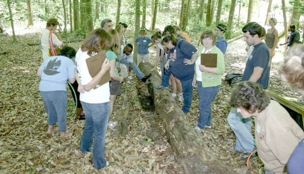 Alabama Wildlife Federation Teacher Training
