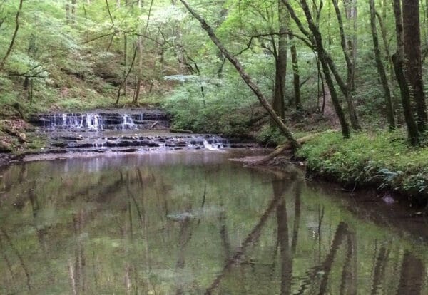 Shoal Creek Preserve