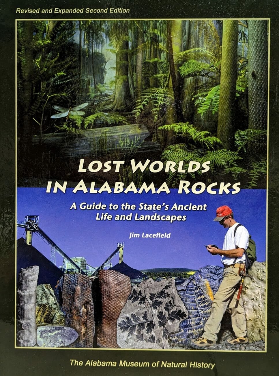 <em>Lost Worlds in Alabama Rocks</em> Cover