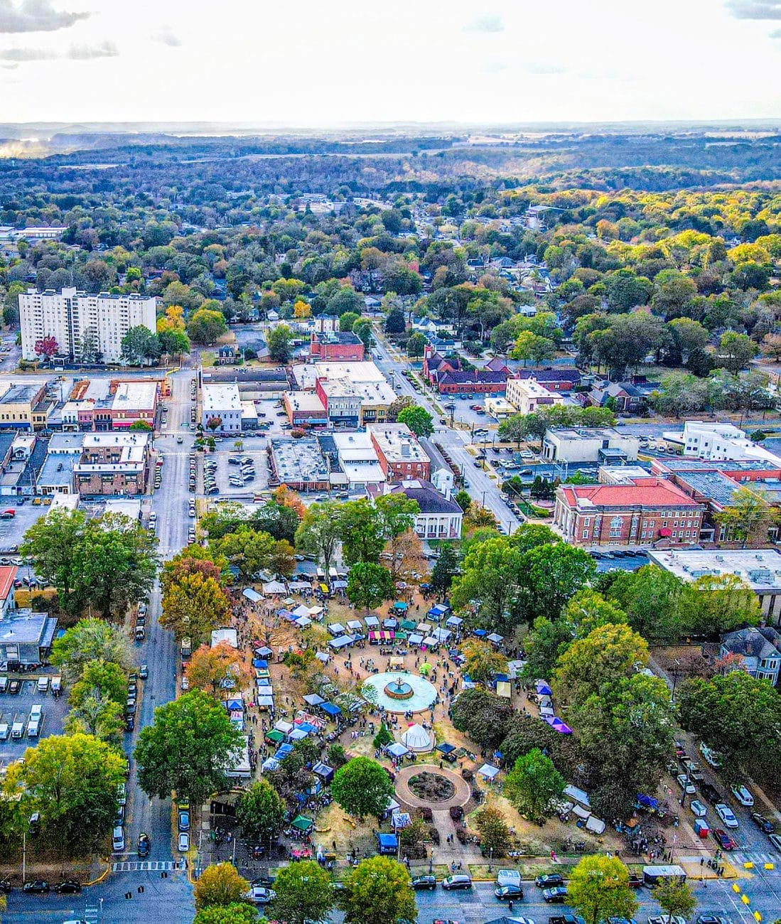 Alabama Renaissance Faire Aerial View